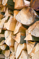 Beech firewood