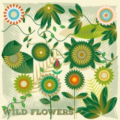 Fototapeta na wymiar wild flowers vector set illustration vintage