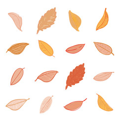 Obraz premium leaves doodles set. Vector hand drawn illustration
