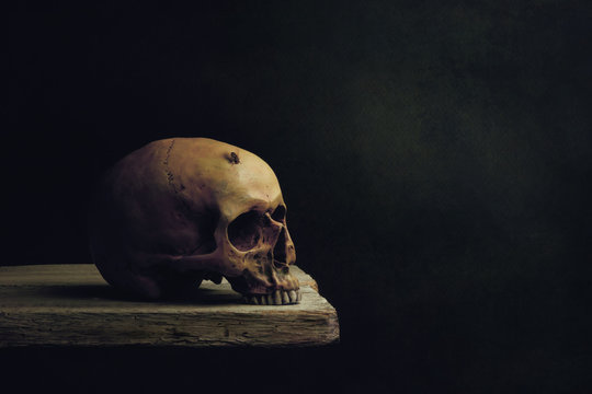 Vanitas Still Life, death and resurrection