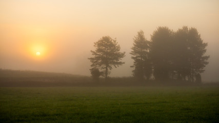 Fototapeta na wymiar Sunrise at foggy meadow