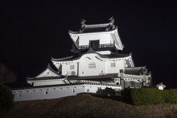 掛川城　ライトアップ