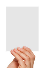 fingers holding a blank white card