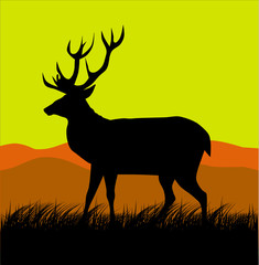 Deer on Sunset