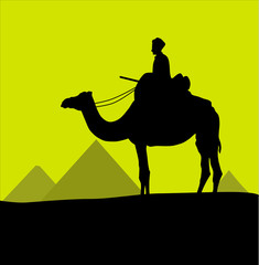 Camel and pyramids