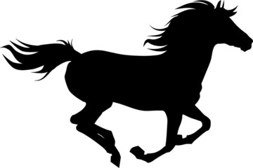 Obraz na płótnie Canvas Horse silhouette
