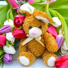 niedlicher Osterhase