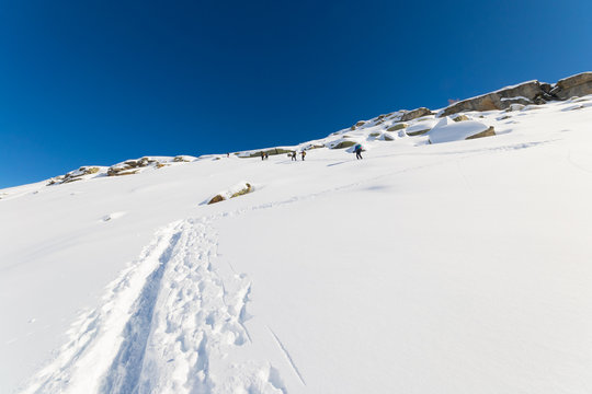 Ski alpinists in winter scene