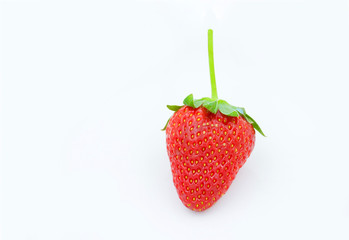 1 strawberry isolated on white background.
