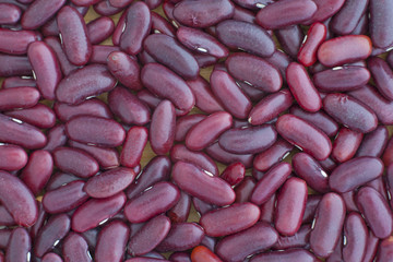 Dark red kidney beans