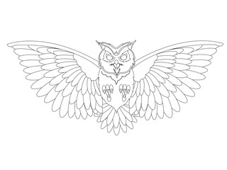 Owl tattoo 