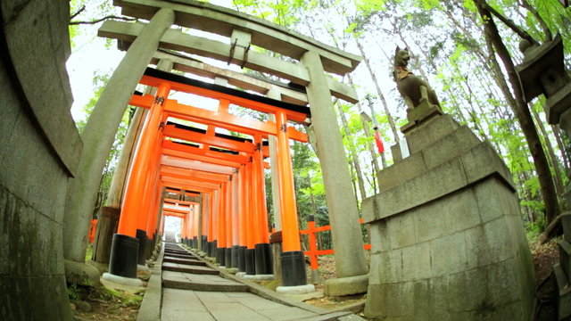 Fushimi Inari Taisha shrine Fox statue sculpture Torii gates Buddhist Kyoto 