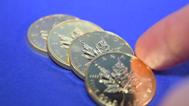 Gold Maple Leaf, Bullion Coin Row, Fingers Cashing In Gold Coins