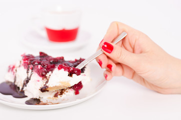 Delicious handmade slice of cheese cake
