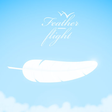 White Feather In The Sky Background.