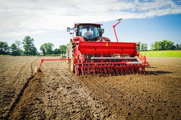 Obraz premium Schlepper mit Sämaschine bei der Herbstbestellung, von hinten
