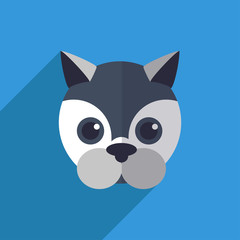 Vector illustration of a cute cat with a long shadow