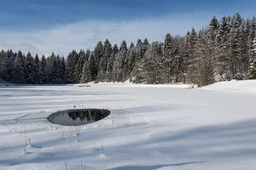 frozen lake with little water hole surrounded of snowy trees