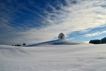 Winterlandschaft Winter Baum Landschaft