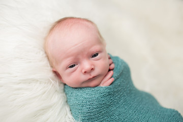Newborn Swaddled