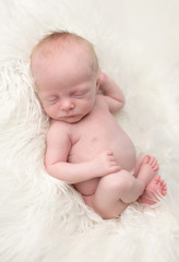 Newborn Asleep