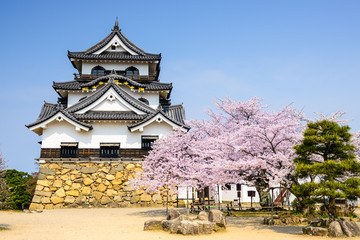 Fototapeta na wymiar Hikone Castle in the Spring in Japan