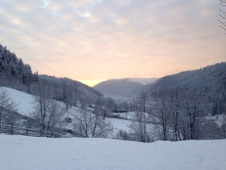 Sunrise in winter near forest