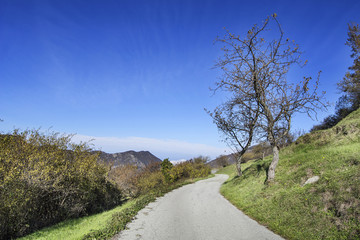 Strada di campagna