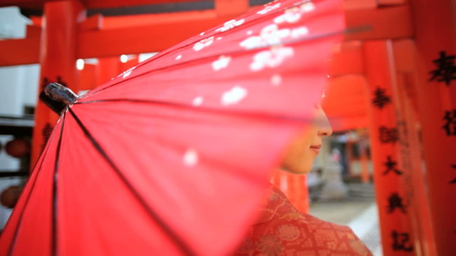 Female Asian Japanese Traditional Kimono Parasol Gardens Outdoors 
