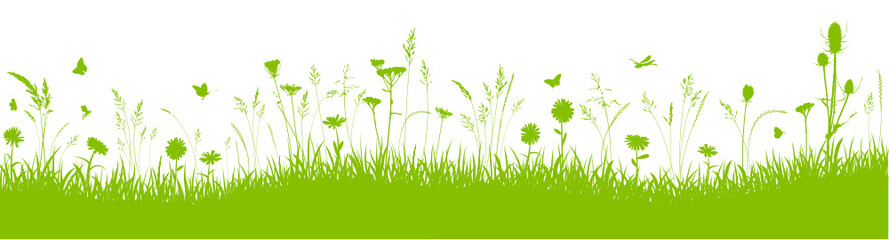 Herbstwiese Hintergrund