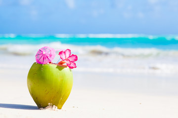 two fresh coconut cocktail on tropical beach with flower