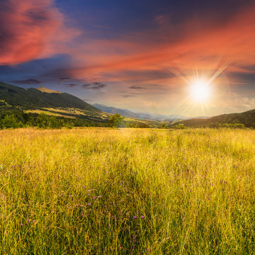 meadow with high grass in mountains at sunset