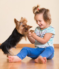 Cute little girl with yorkshire terrier indoor