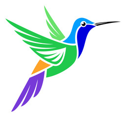 Obraz premium Stylized Bird - Charming Hummingbird