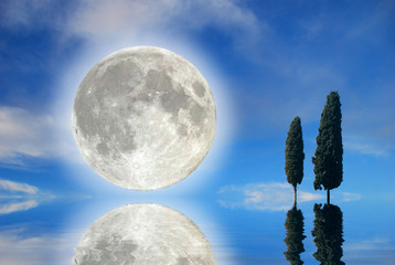 Luna con cipressi © Lionello Rovati