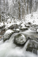 small stream in black forest, Germany