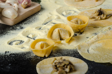 Making pasta from italian flour semolina
