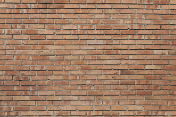 Fototapeta premium Mur z cegły tekstury