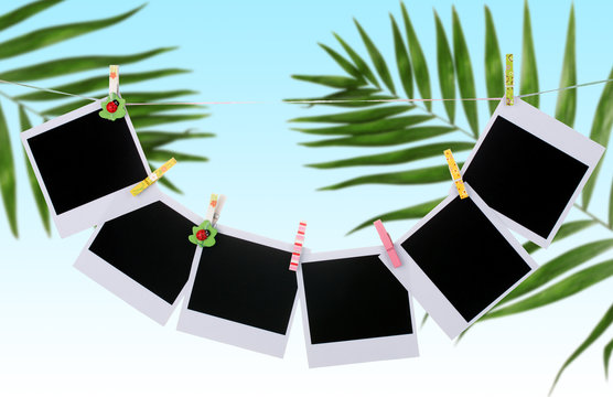 Photo cards hanging on clothesline on palm leaves background