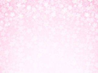 桜　花　背景