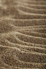 Sea sand texture