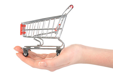 Small shopping cart in female hand isolated on white