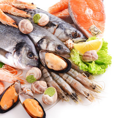 Fresh fish and other seafood isolated on white