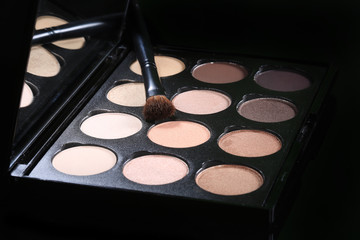 Colorful Eyeshadow Collections on Black Background