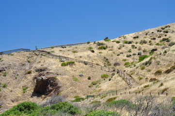 Grassy hill, landscape. Australia