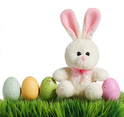 Easter eggs and rabbit on grass, isolated on white