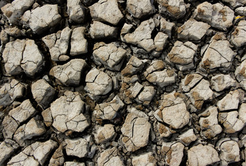 Dry earth ground texture