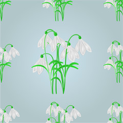 Seamless texture snowdrops spring background vector