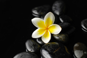 Obraz na płótnie Canvas Zen stones and frangipani