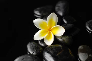Deurstickers Zen stones and frangipani © Mee Ting